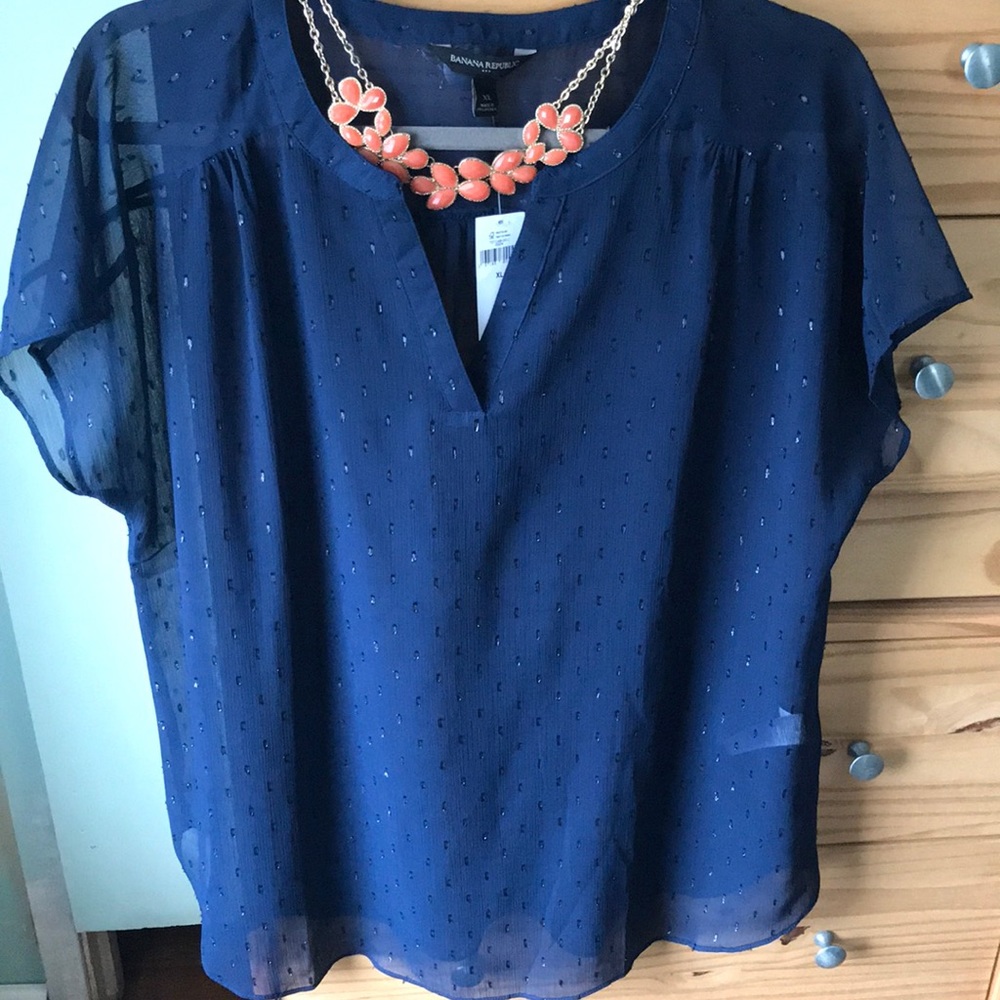 Banana Republic Navy sheer top
